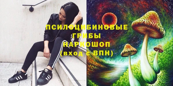 ALPHA PVP Заволжск
