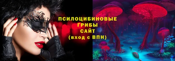 МДМА Заводоуковск