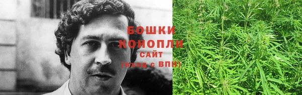 гашик Зерноград
