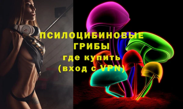 PSILOCYBIN Заволжье