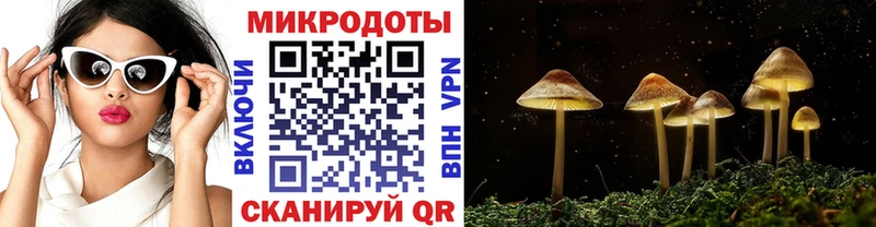 Купить  Дубна  Галлюциногенные грибы GOLDEN TEACHER 