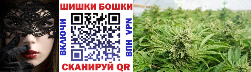 Каннабис план  Купить где  Дубна 